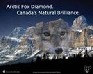 Arctic Fox Diamonds - Northam Diamonds
